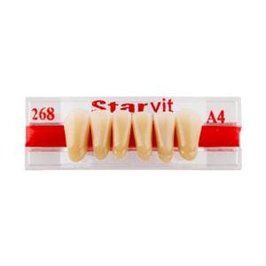 Starvit Lower Anterior 268 A4 6pk