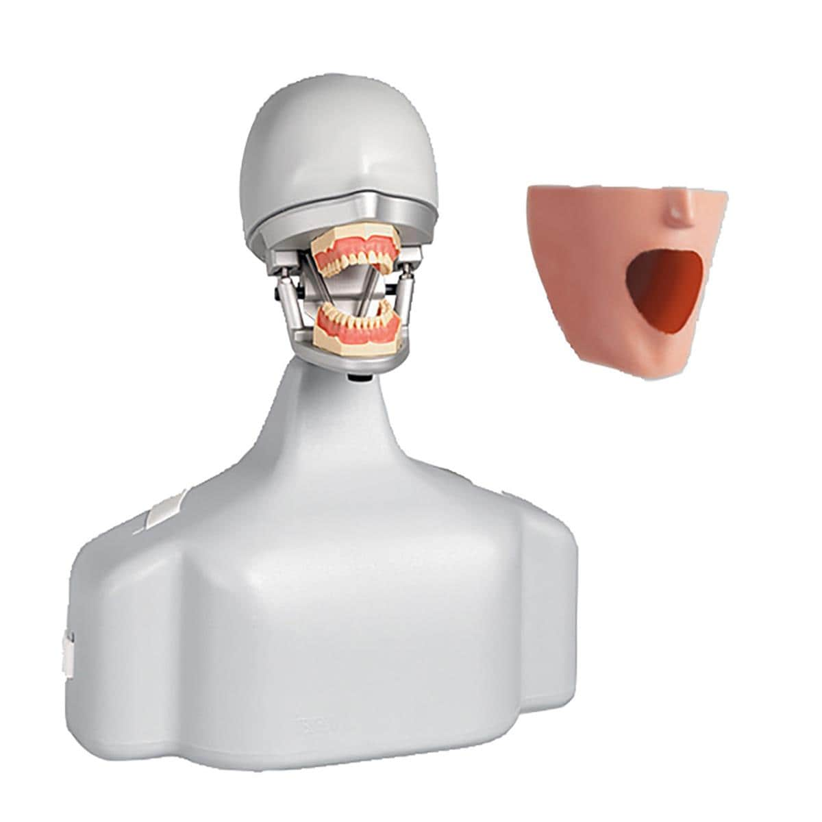 Dental Exercise Unit Complete with Phantom Head P-