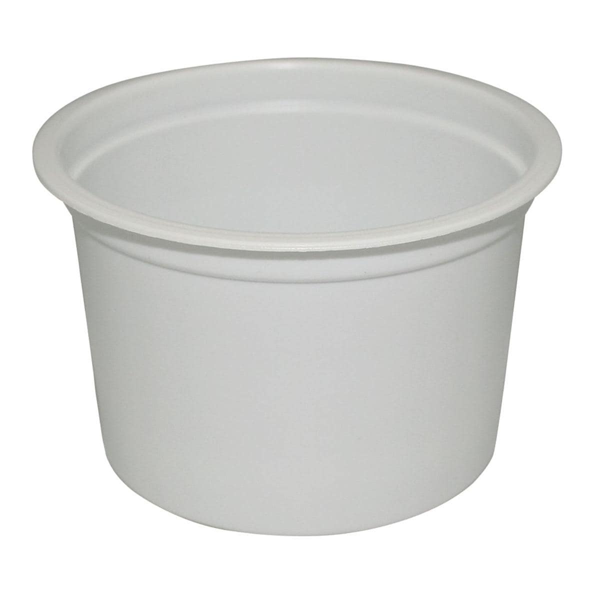 Denture Container 250ml 100pk