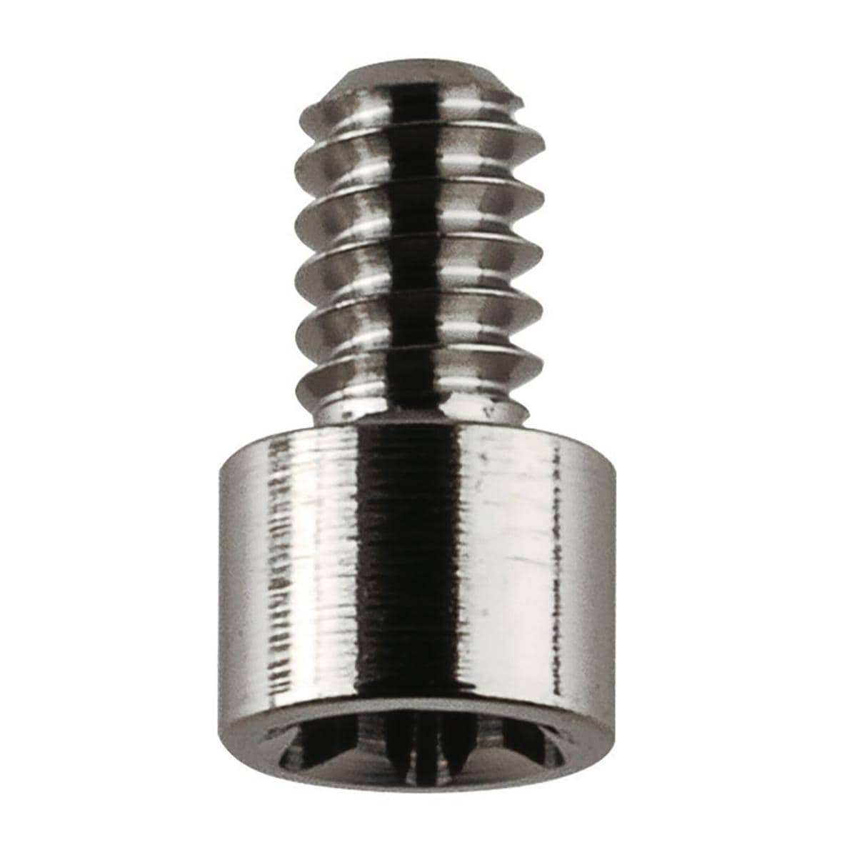 BL Screw for Desktop Scan Abutment on Multi-Unit