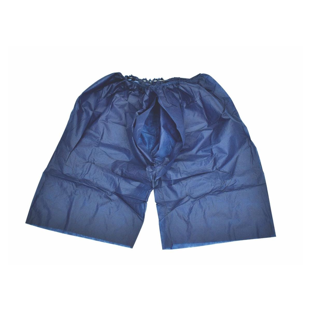 Dignity Shorts Large Blue 100pk