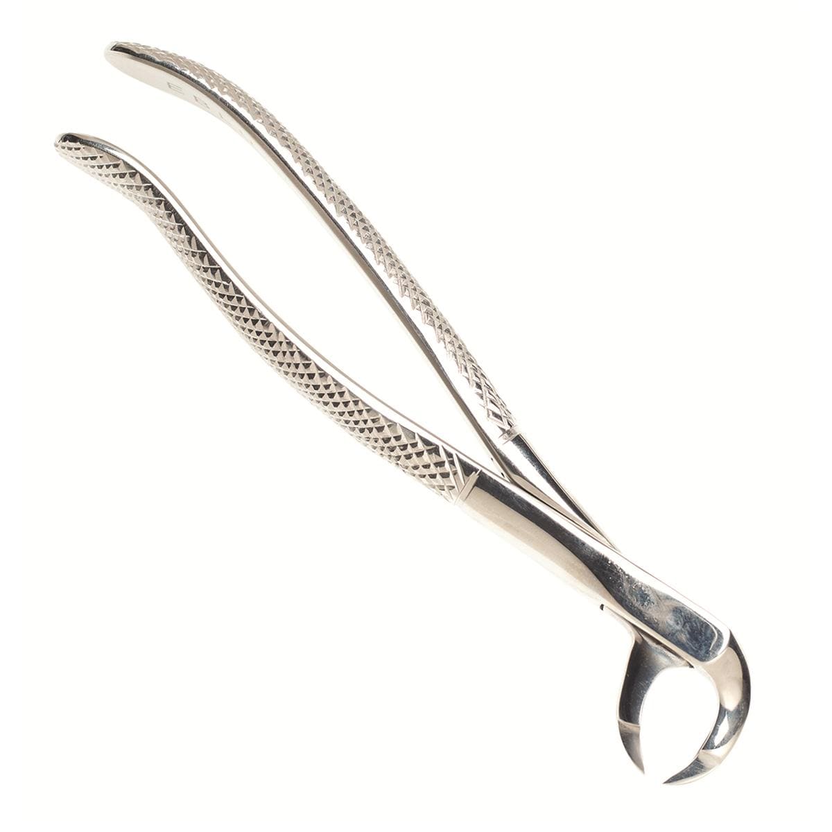 Eagle Beak Forceps Lower Universal