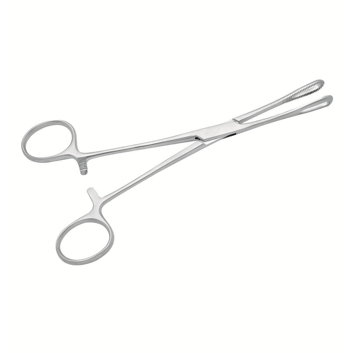 Rampley Sponge Holding Forceps 18cm