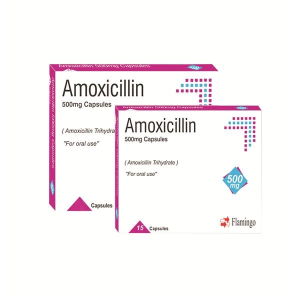 Amoxicillin Capsules 500mg 15pk